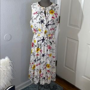 Vintage Inspired BirdWatching Dress